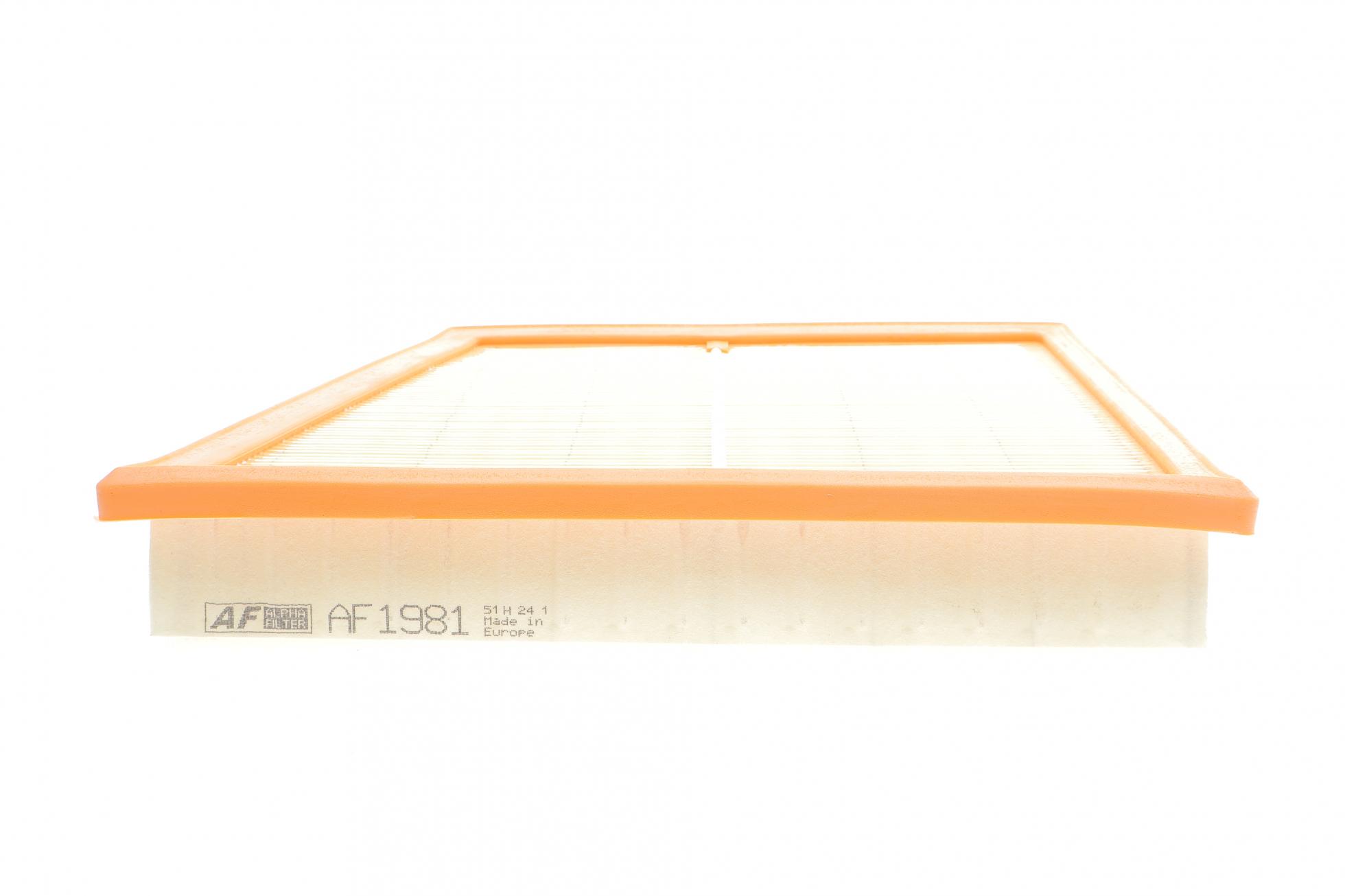 AF1981 ALPHA FILTER